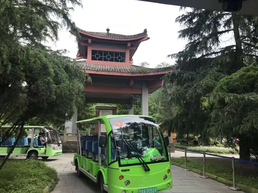 1-Day Mount Qingcheng and Dujiangyan Irrigation System Tour - Price and what you actually get for $112