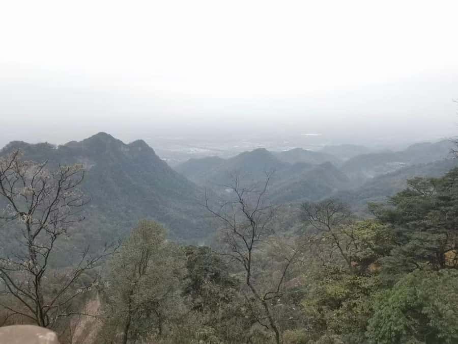 1-Day Mount Qingcheng and Dujiangyan Irrigation System Tour - A one-day taste of Taoism and working engineering