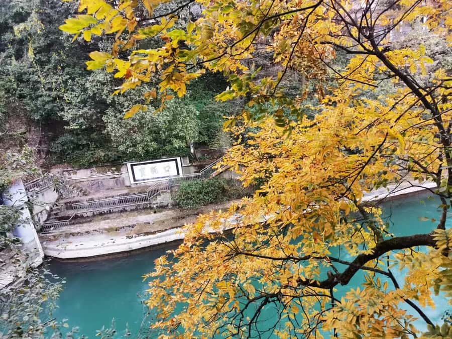 1-Day Mount Qingcheng and Dujiangyan Irrigation System Tour - Front Mountain: palaces and caves with clear Taoist landmarks