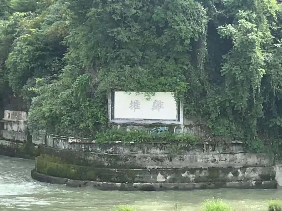 1-Day Mount Qingcheng and Dujiangyan Irrigation System Tour - The Kung Fu Panda connection you can actually use