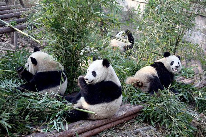 10-Day China Tour to Beijing, Xian, Chengdu and Shanghai - The value question: what your money is actually buying