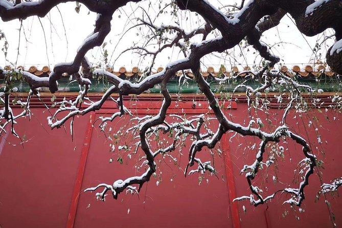 2-Day Beijing Sightseeing Highlights Combo Package with Lunch - A Stress-Free Way to Hit Beijing’s Top Sites in 2 Days