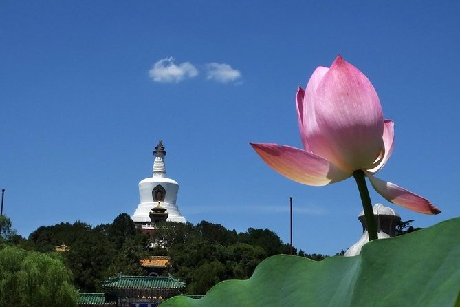 2-Hour Beijing Private Jingshan Coal Hill Park and Beihai Park Walking Tour - Price and logistics: what $66 buys in 2 hours