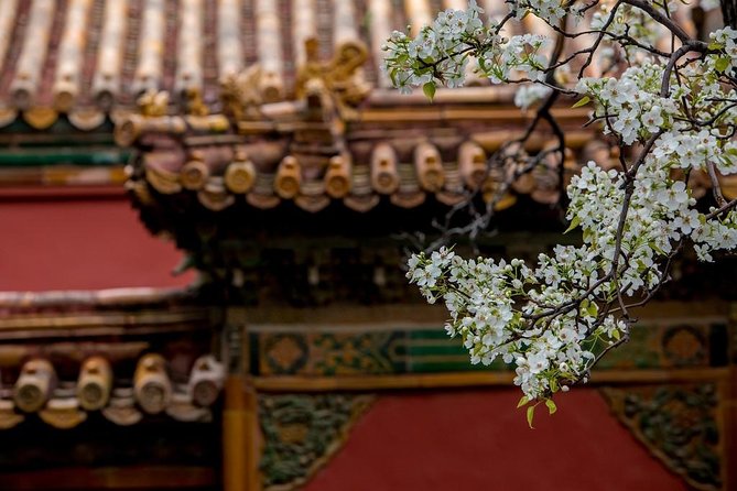 3-Day Private Beijing Tour with Forbidden City, Great Wall, Hutong and Lunch - Value check: what $518 buys (and what it does not)