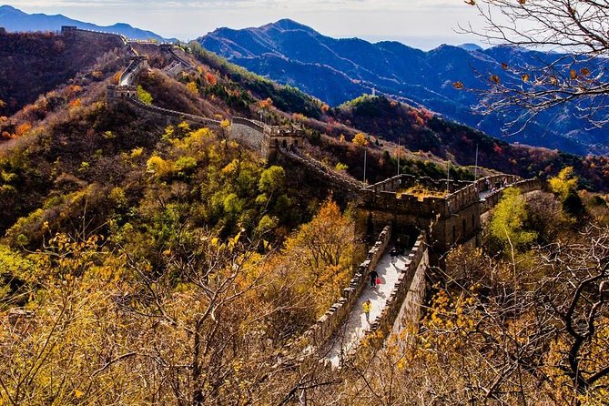 3-Day Private Beijing Tour with Forbidden City, Great Wall, Hutong and Lunch - The guides matter: what the best reviews point to