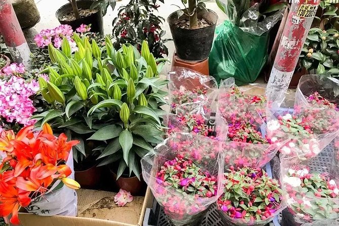 6-Hour Private Beijing Tour: Flower and Fish Market, Panjiayuan Antique Market and 798 Art Zone - Panjiayuan Antique Market: Calligraphy, Teapots, Furniture, and Big Finds