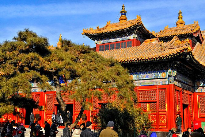 All-inclusive Private Day Trip: Hutongs, Lama Temple & Panda House with Lunch - Jingshan Park viewpoint: climbing toward the Forbidden City skyline