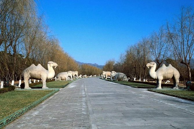All Inclusive Private Tour to Mutianyu Great Wall and Ming Tombs - Ming Tombs after lunch: Dingling Underground Palace or Changling Tomb