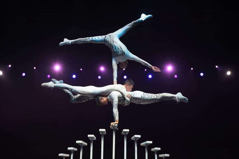 Beijing: Acrobatic Show Tickets Traditional & Modern Fusion - Who this Beijing acrobatics show is perfect for