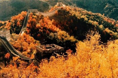 Beijing Daxing Airport Private Transfer to Mutianyu Great Wall - Pickup times at Daxing: why the schedule feels forgiving