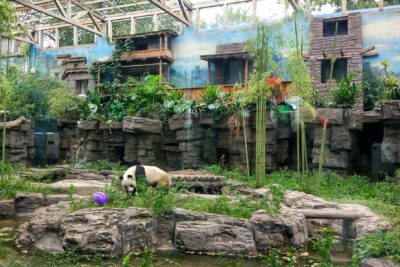 Beijing Half-Day Private Customized Tour: Visit Your Dream Spots - Tiananmen Square and Temple of Heaven: Classic Stops, Short Time