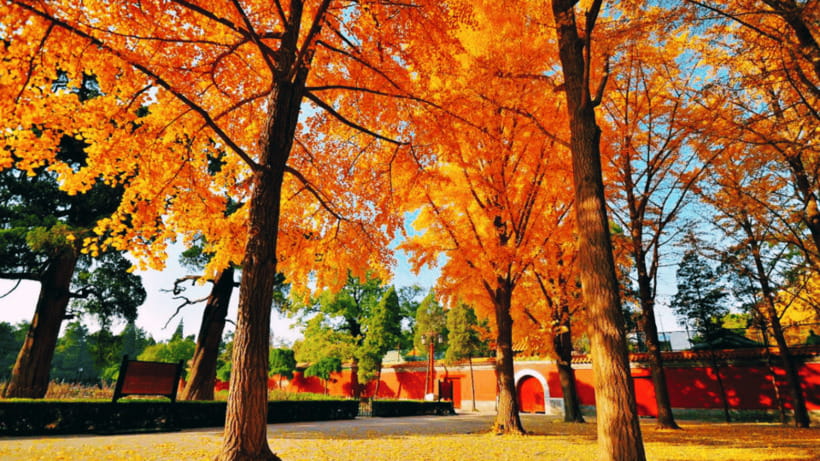 Beijing: JingShan park (palace museum garden) entry ticket - Key things to know before you go