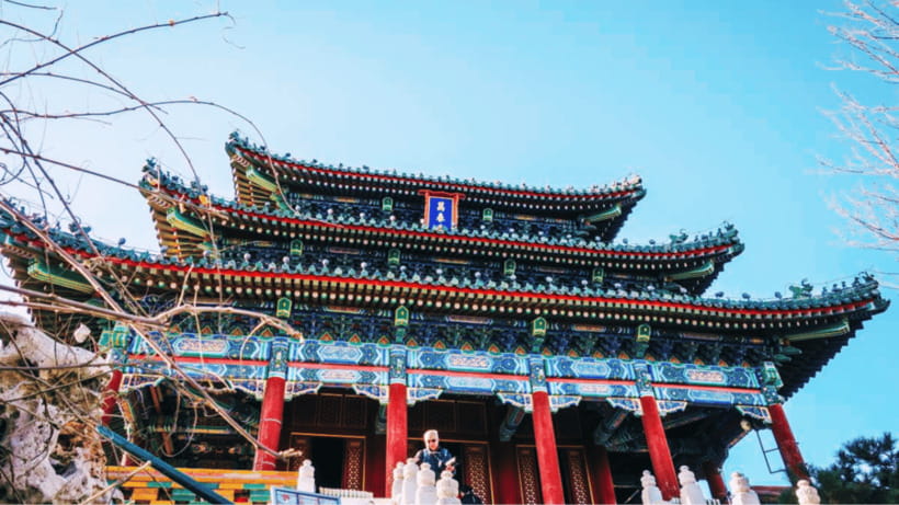 Beijing: JingShan park (palace museum garden) entry ticket - Rare flowers, old trees, and the pleasure of a slower pace