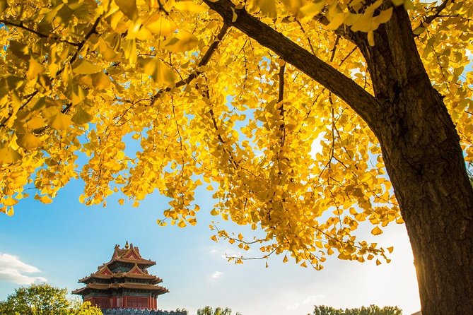 Beijing Layover Tour to Tiananmen Square and Forbidden City - Private Vehicle Comfort, Bottled Water, and a Warm Coat