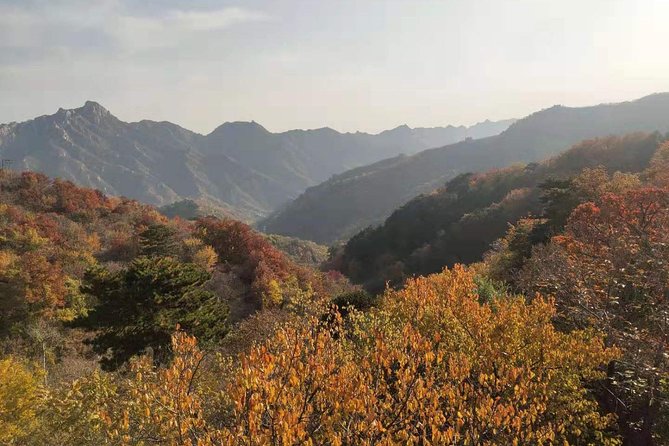 Beijing: Mutianyu Great Wall and Tea House Private Tour - Why Mutianyu Works So Well for a Private Great Wall Day