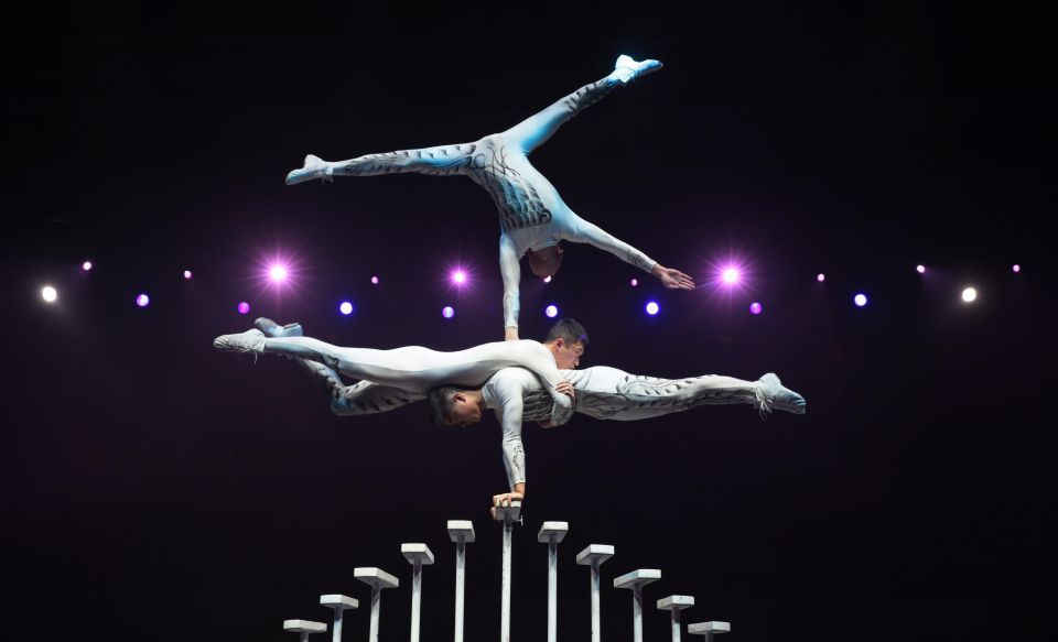 Beijing Night Tour with Acrobatics Show & PekingDuck Dinner - Price and Value: Is $192 Fair for Pickup, Show, and Duck?