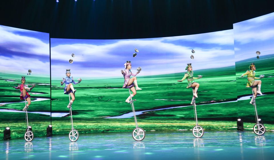 Beijing Night Tour with Acrobatics Show & PekingDuck Dinner - Who Should Book This Beijing Night Tour