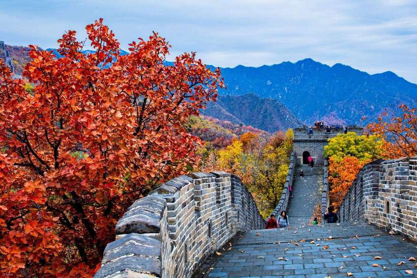Beijing: Panda House w/Great Wall or City Sites Private Tour - What to watch for on the ground: crowds, closures, and walk comfort