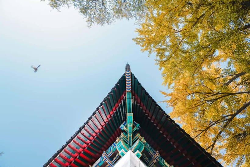 Beijing: Peking University Campus Guided Walking Tour - Small group vibes, English guidance, and Henry’s style