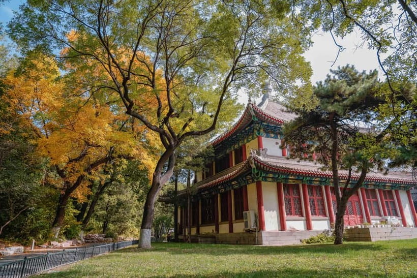 Beijing: Peking University Campus Guided Walking Tour - Who this PKU walking tour fits best