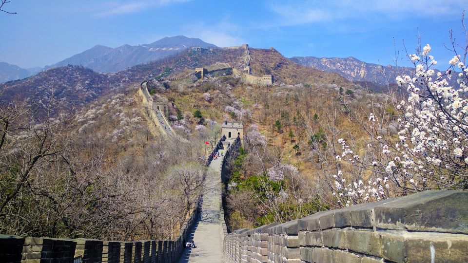 Beijing Private Custom Tour: Licensed Guide&Transfer Service - Who Should Book This Tour (and Who Might Prefer Another Style)