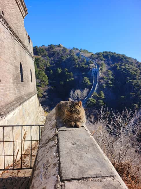 Beijing: Private Tour to Mutianyu Great Wall&Forbidden City - Price and logistics: does $122 per person make sense?