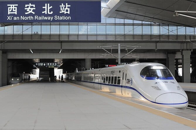 Beijing Private Tour: Xi'an Terracotta Warriors by Bullet Train - The guide makes the clay make sense (Spring’s impact)