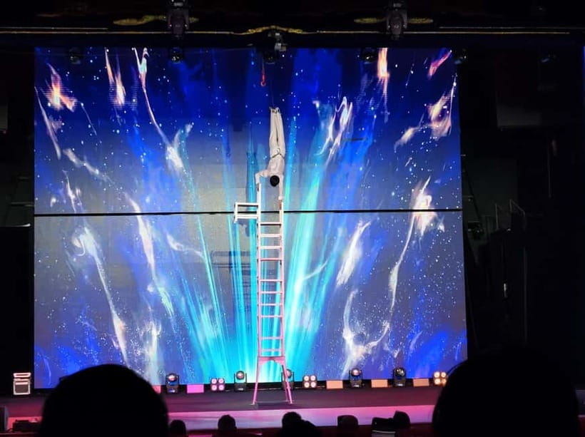 Beijing: Qinle Palace Acrobatics Show Ticket - Is This Show for You? Who Will Enjoy It Most