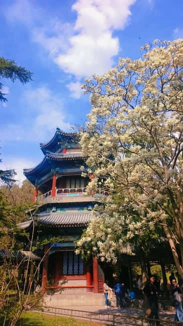 Beijing: Summer Palace Highlight Walking Tour - Pace, group size, and logistics that actually matter