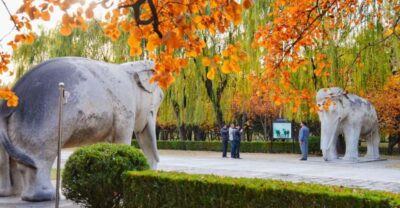 Beijing: Summer Palace, Sacred Road&Ming Tombs Private Tour - Hotel pickup and private vehicle: fewer headaches, more attention