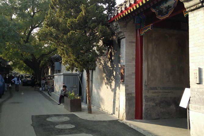 Beijing Tailored Privated Day Trip by Licensed Driver - Temple of Heaven: a compact stop with big atmosphere