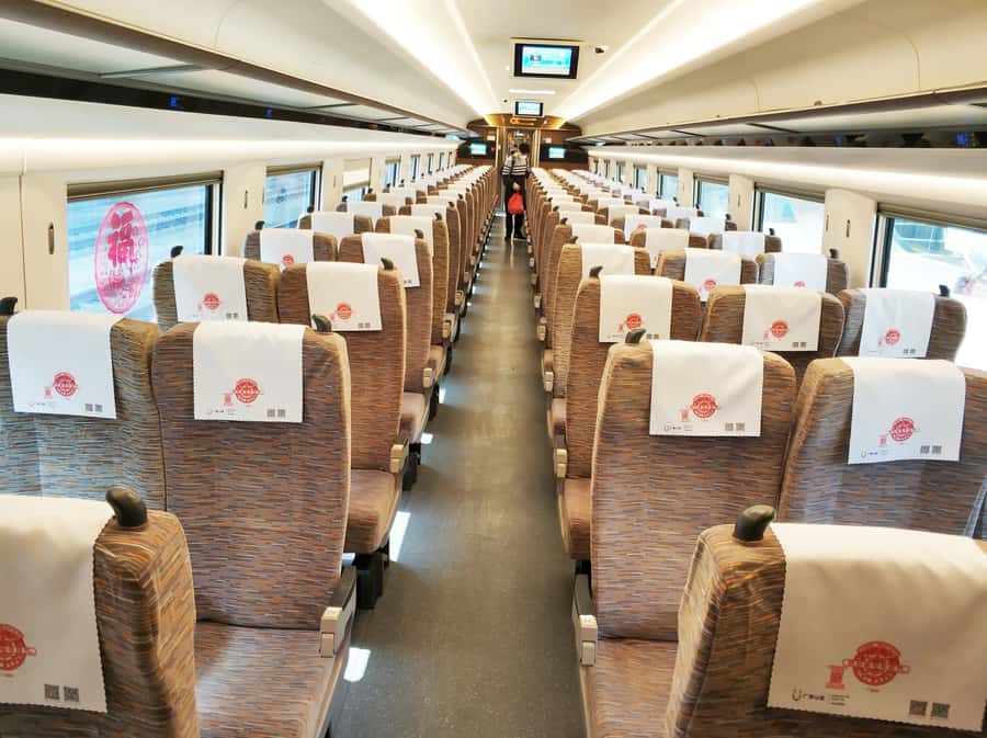 Beijing to Xi'an Terracotta Tour by Roundtrip Bullet Train - When the Guide Really Makes the Difference