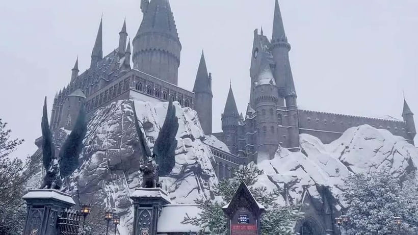 Beijing Universal studios 1 day private tour (opt) - Value check: why the price can make sense for a 1-day hit list