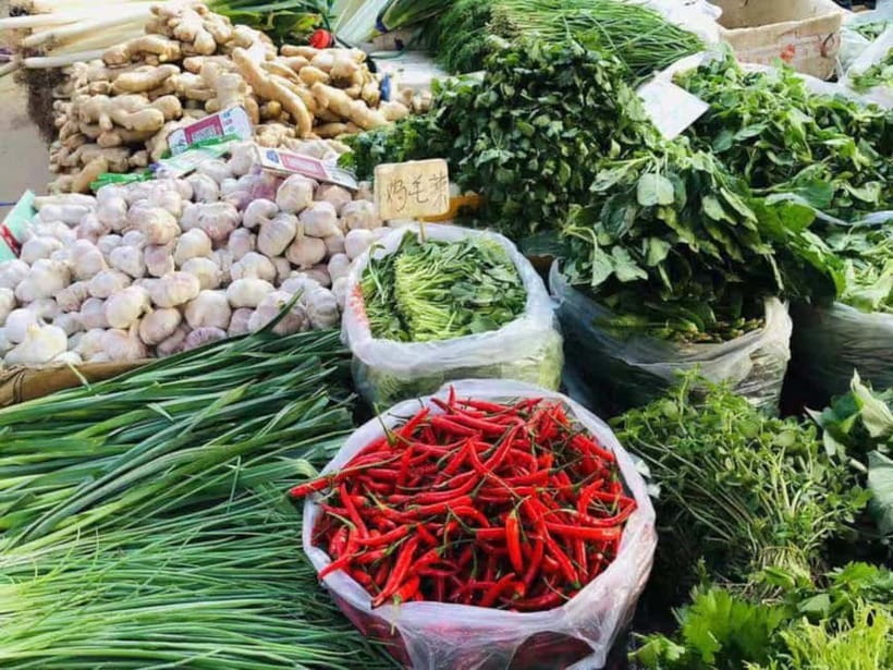 Beijing: Vegan Home Cooking & Local Market Tour with Sanxia - The organic market walk: picking tofu, grains, herbs the Chinese way