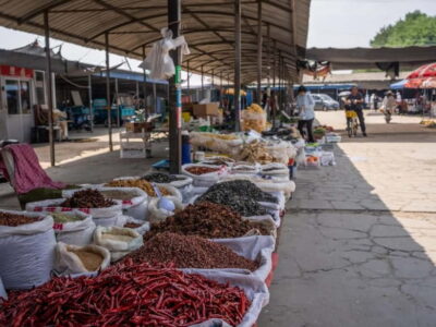 Beijing: Vegan Home Cooking & Local Market Tour with Sanxia - From Tu Qiao to the kitchen: the 4–6 hour flow