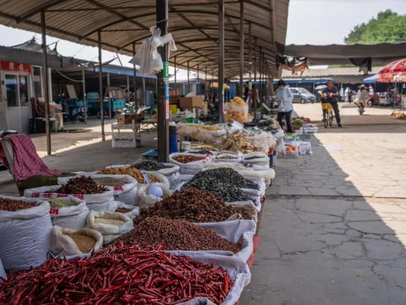 Beijing: Vegan Home Cooking & Local Market Tour with Sanxia - From Tu Qiao to the kitchen: the 4–6 hour flow