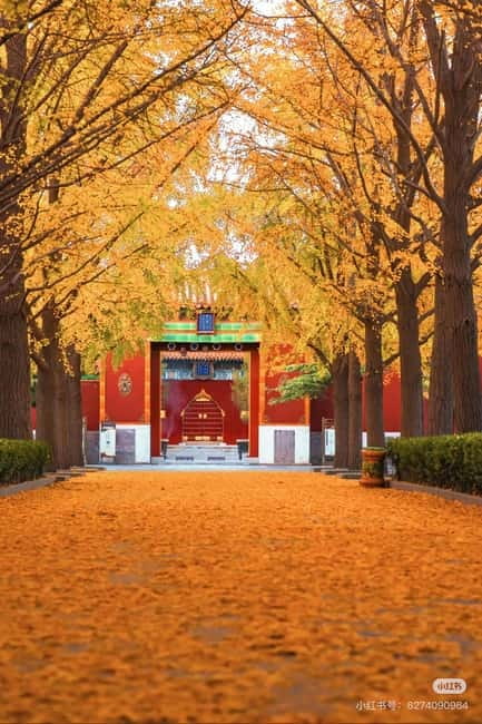 Beijing: Yonghe Lama Temple Tickets with guide (optional) - Key things I’d plan around