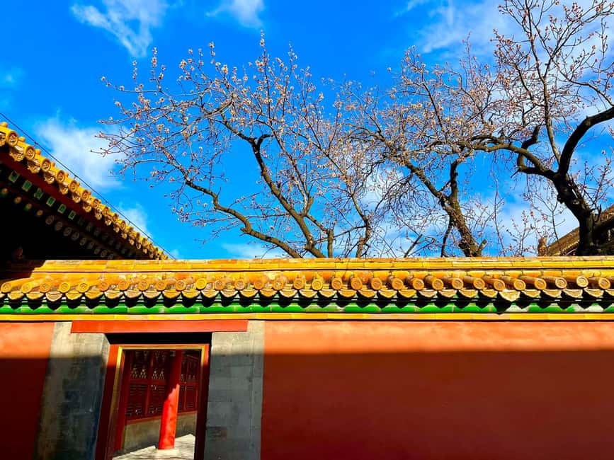 Beijing:Forbidden City--Reveal Secrets Behind Red Walls - Price and value: what $10 is really buying you