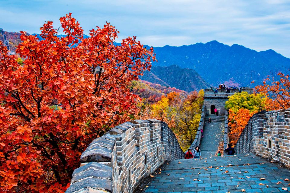 Beijing:Mutianyu/Badaling Great Wall Tour with VIP Fast Pass - The real rhythm of the day: pickup, guided climb, then freedom