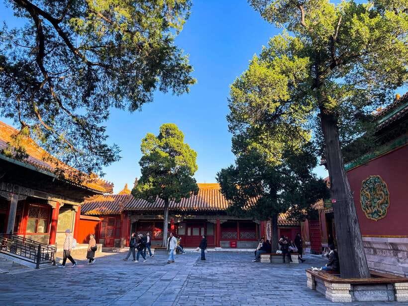 Beijing:Temple of Heaven+Forbidden City Private City Tour - Lunch Like a Local: Noodles, Dumplings, and Jianbing Choices