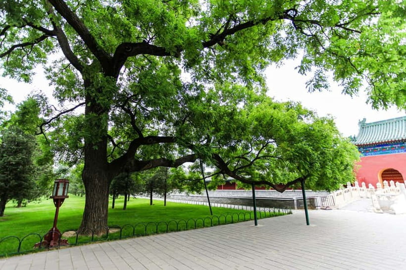 Beijing：Forbidden City Tour—Temple, Summer Palace&Great Wall - From Security Gates to Cable Cars: Logistics You Should Plan For