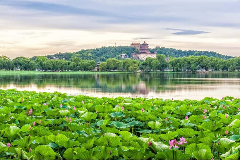 Beijing：Summer Palace & Tea or Calligraphy Experience Tour - Price and value: what you’re really getting for $162