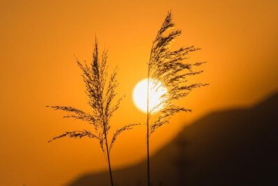 Early Bird Great Wall Private Tour with Chinese Breakfast from Beijing - Hotel pickup and the private car: the comfort you feel right away