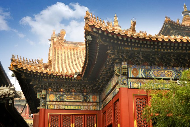 Full-Day Beijing City Tour: Hutongs, Lama Temple and Panda House - Olympic Park: Water Cube and Bird’s Nest for great photos (not a deep museum day)