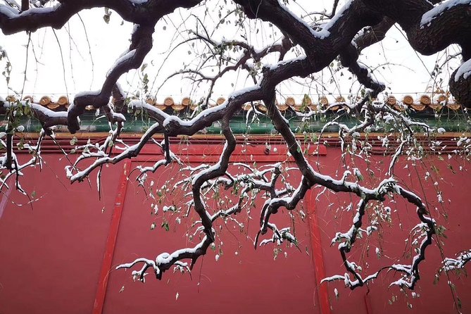 Half Day Beijing Group Tour to Tiananmen Square and Forbidden City - Morning logistics: hotel pickup, mobile ticket, and how the day stays on track