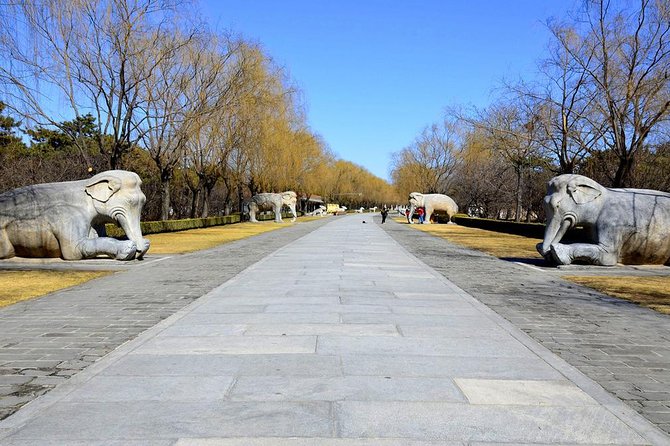 Half Day Tour to Ming Tombs Underground Palace and Sacred Path from Beijing - Private half-day timing: what the 5 hours really means