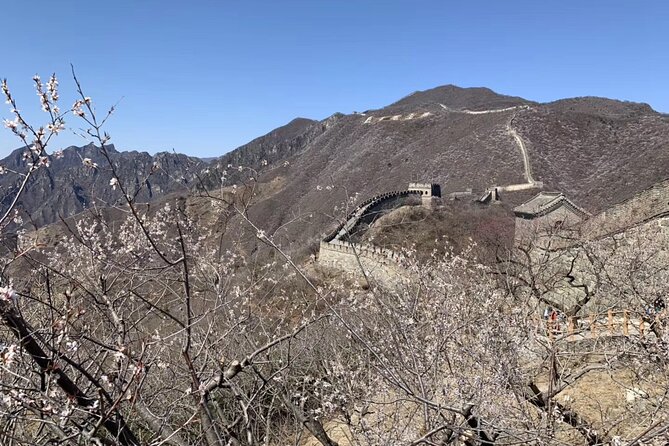 Layover Trip to Great Wall with English Driver in Beijing - The straight shot to Mutianyu: why the “no stopover” plan matters
