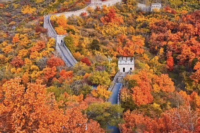 Mutianyu Great Wall and Forbidden City Private Tour with Lunch - Key things I’d put at the top of your list