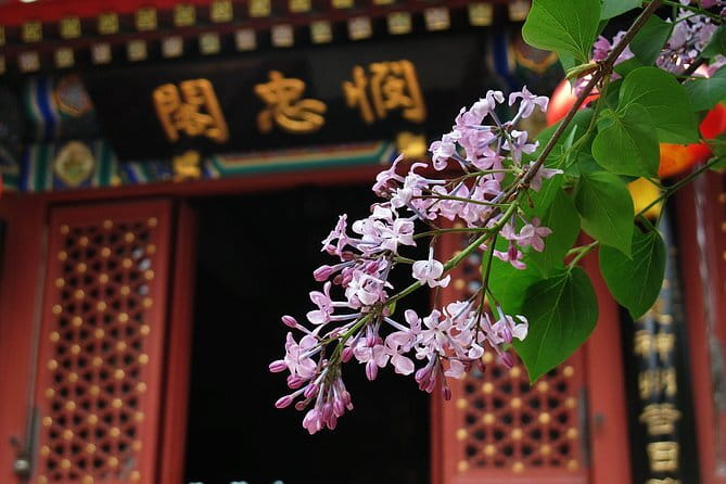 Mutianyu GreatWall BusTour - Mutianyu’s calmer feel: why it’s a smart pick