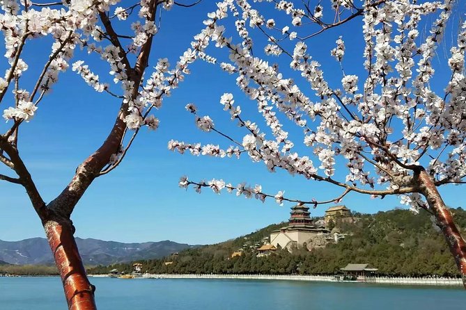 Private Beijing 3-Day Tour - Why this private format feels different in Beijing